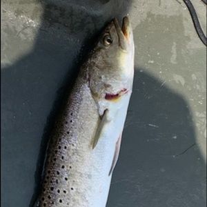 Meet your Posher, Jacob